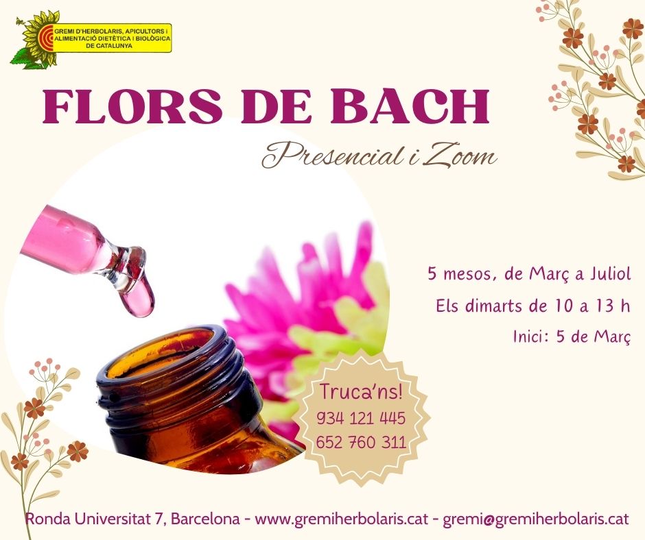 Proper inici del curs de Flors de Bach