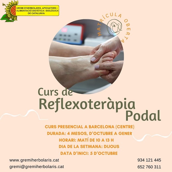 Curso de Reflexoterapia, inicio en Octubre!!!